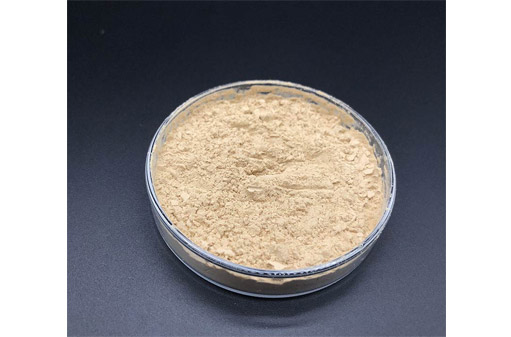 Do you know Bacillus Coagulans Accobio?