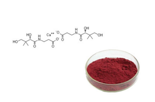 What is the Role of Methylcobalamin?